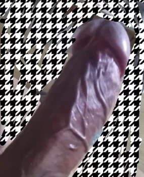 济南市中区鸭子