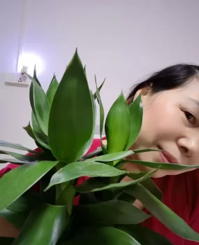 东莞可无帽熟女